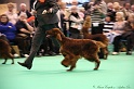 Crufts2011 902